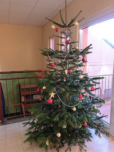 AAAAAAAAAAAAA_2013_12_17 (6).JPG